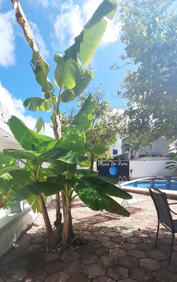 Claro De Luna Playa del Carmen Luaran gambar